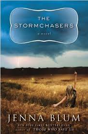 The Stormchasers by Jenna&nbsp;Blum