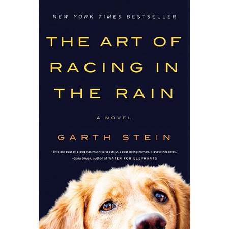 The Art of Racing in the Rain